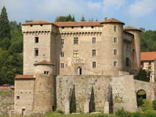 Chateau De Chalmazel Saint-Just-en-Bas Esterno foto