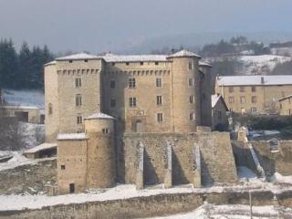 Chateau De Chalmazel Saint-Just-en-Bas Esterno foto
